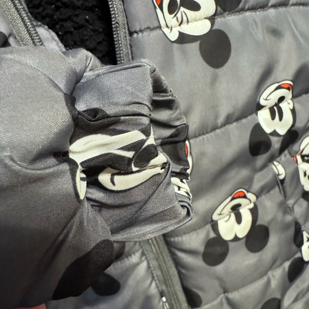 Mickey Mouse Jacket with ears gray in color -3T - Picture 2 of 4